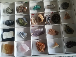foto exposiçãofeira de fósseis e minerais