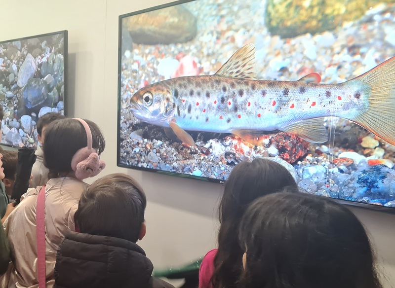 Visita de estudo ao Centro de Ciência e à Agência de Ecologia de Vila  Real.
